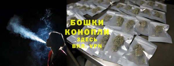 ГАЛЛЮЦИНОГЕННЫЕ ГРИБЫ Медногорск