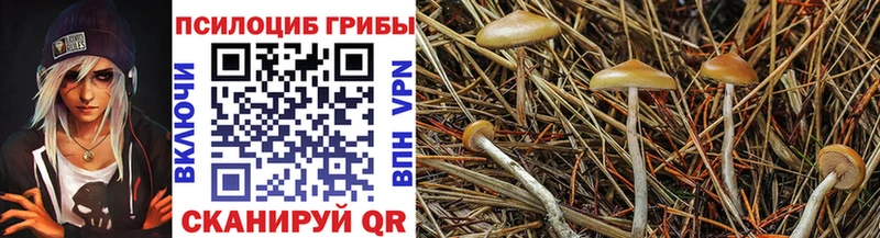 Псилоцибиновые грибы Psilocybine cubensis  это клад  Евпатория 
